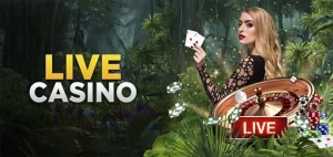 Rafi777 Poker